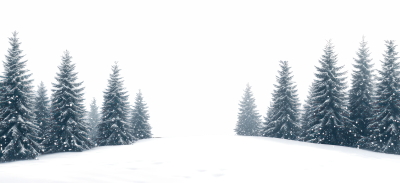 Snowy Mountains & Forest 25xPNG