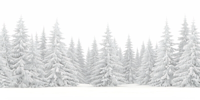 Snowy Mountains & Forest 25xPNG