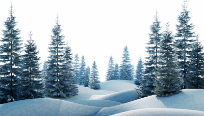 Snowy Mountains & Forest 25xPNG