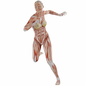 Muscle Body Exercise Person 3D Renders 20xPNG