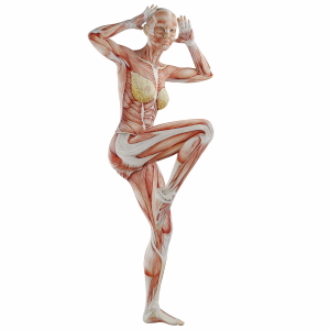 Muscle Body Exercise Person 3D Renders 20xPNG