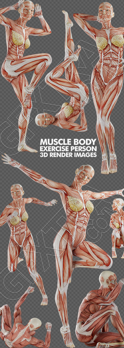 Muscle Body Exercise Person 3D Renders 20xPNG