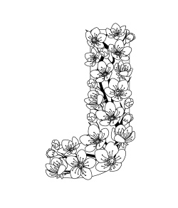 Floral Decorated Letters #2, 26xAI