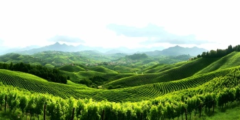 Spring Scenery Greenlands 22xJPEG, 8xPNG Spring Scenery Greenlands 22xJPEG, 8xPNG