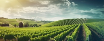 Spring Scenery Greenlands 22xJPEG, 8xPNG Spring Scenery Greenlands 22xJPEG, 8xPNG