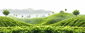 Spring Scenery Greenlands 22xJPEG, 8xPNG Spring Scenery Greenlands 22xJPEG, 8xPNG