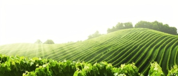 Spring Scenery Greenlands 22xJPEG, 8xPNG Spring Scenery Greenlands 22xJPEG, 8xPNG
