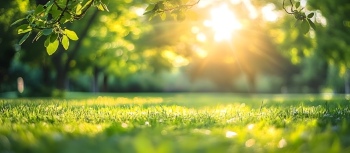 Spring Scenery Greenlands 22xJPEG, 8xPNG Spring Scenery Greenlands 22xJPEG, 8xPNG