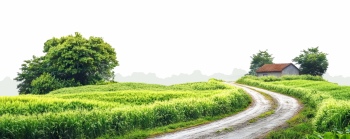 Spring Scenery Greenlands 22xJPEG, 8xPNG Spring Scenery Greenlands 22xJPEG, 8xPNG
