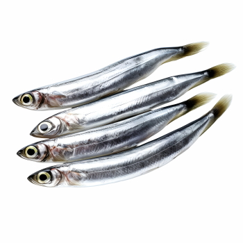 Supersize Fishes 27xPNG
