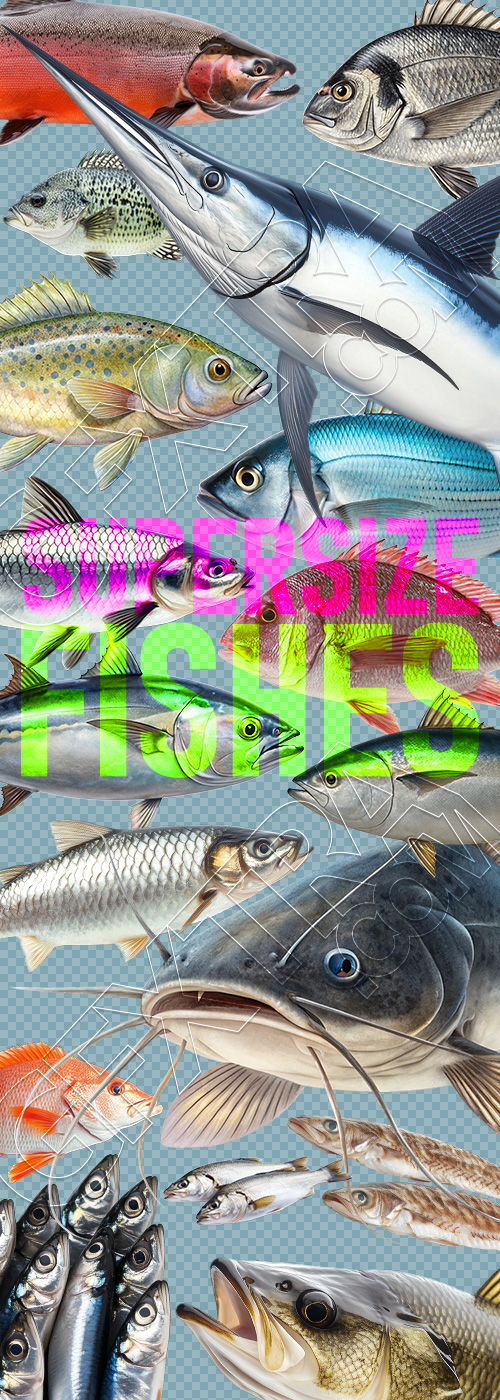 Supersize Fishes 27xPNG