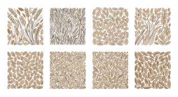 Wheat Seamless Patterns #2, 28xAI