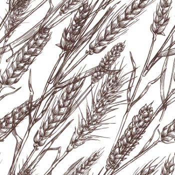 Wheat Seamless Patterns #2, 28xAI