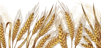 Wheat Seamless Patterns #2, 28xAI