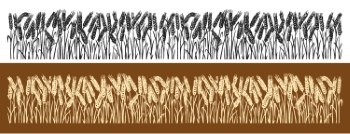 Wheat Seamless Patterns #2, 28xAI