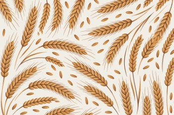 Wheat Seamless Patterns #4, 29xAI Wheat Seamless Patterns #4, 29xAI