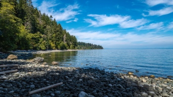 Famous Beaches #3, Boulders Beach 26xJPEG