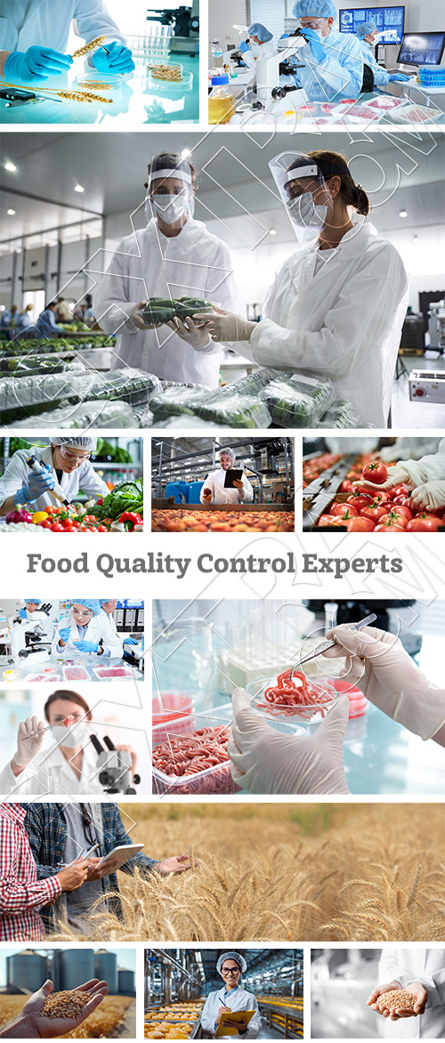 Food Quality Control Experts 32xJPEG