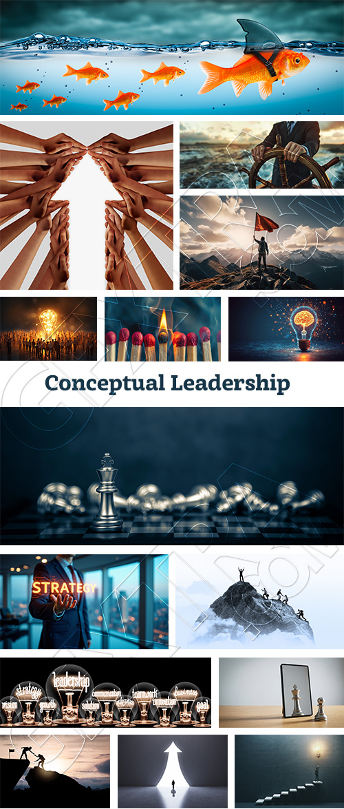 Conceptual Leadership 30xJPEG