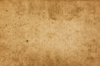 White Canvases on an Easel 25xJPEG