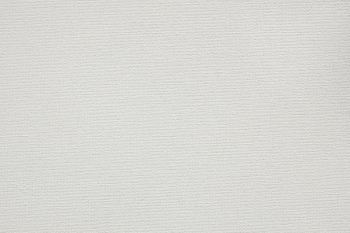 White Canvases on an Easel 25xJPEG