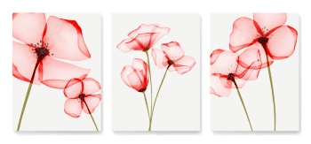 Abstract Botanical Art Backgrounds 25xAI