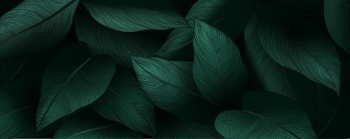 Abstract Botanical Art Backgrounds 25xAI