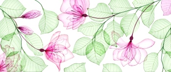 Abstract Botanical Art Backgrounds 25xAI