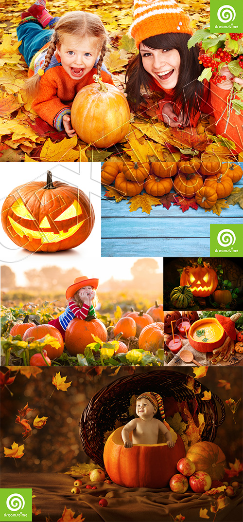 Halloween Pumpkin Thanksgiving 25xJPG Halloween Pumpkin Thanksgiving 25xJPG