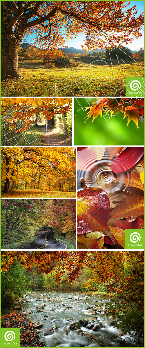 Amazing Autumn Landscapes 25xJPG Amazing Autumn Landscapes 25xJPG