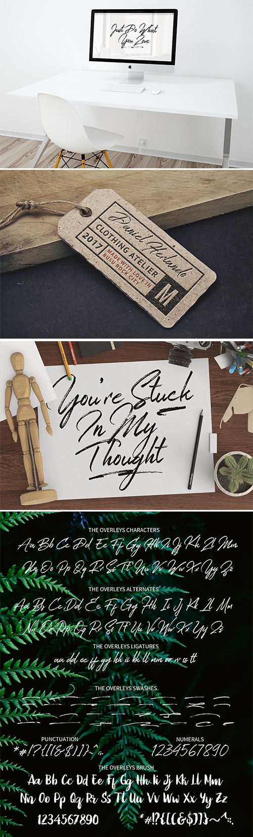 The Overleys Font Family 4xOTF 1015091