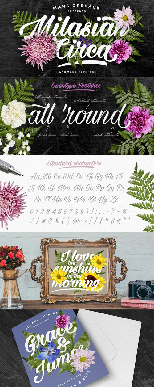 Milasian Circa Font Family 3xOTF