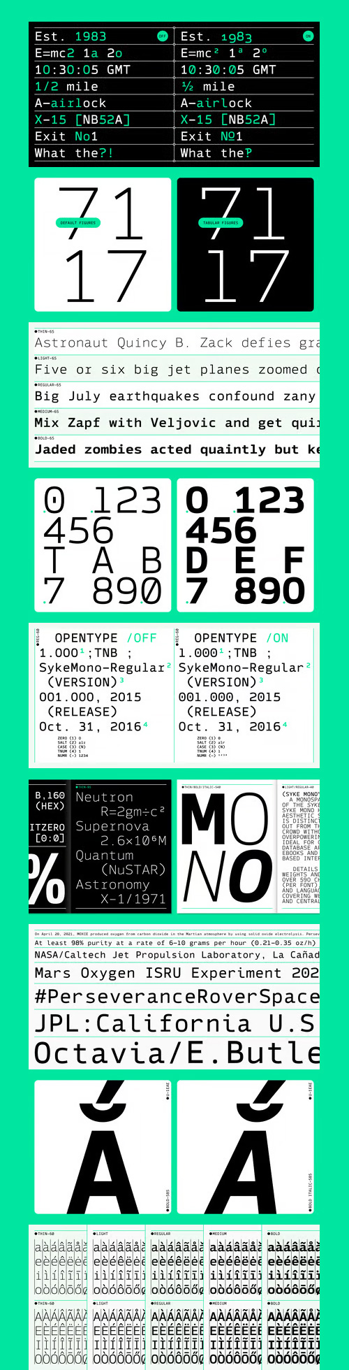 Syke Mono Font Family 10xOTF