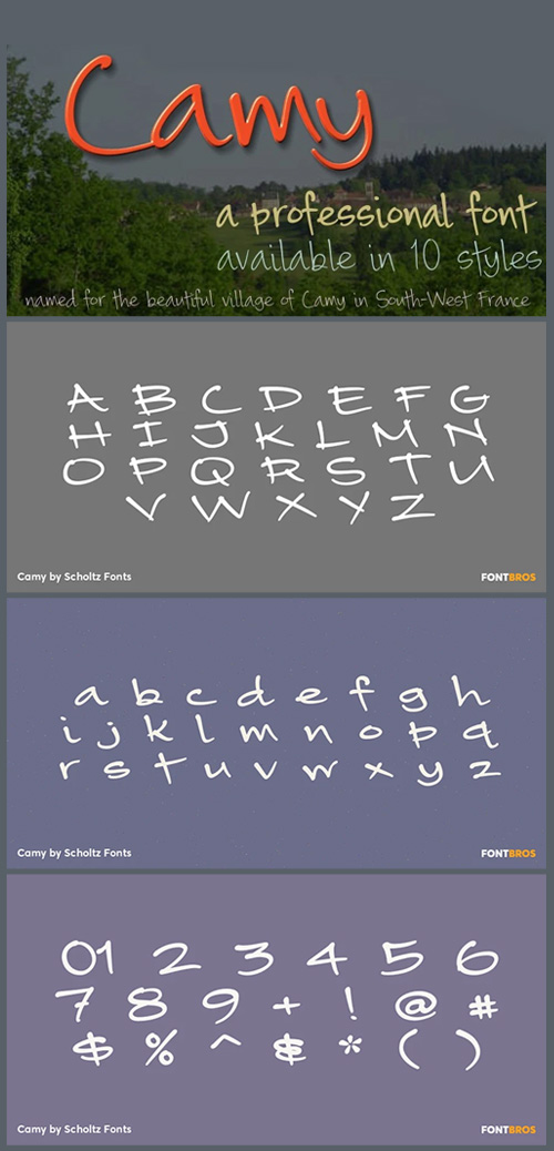 Camy - Professionally Handwrited Family 10xOTF