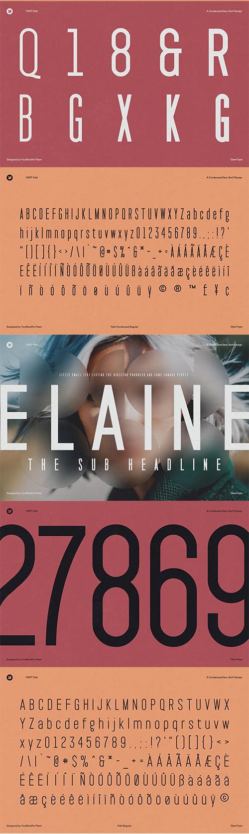 YWFT Pakt Font Family 10xOTF