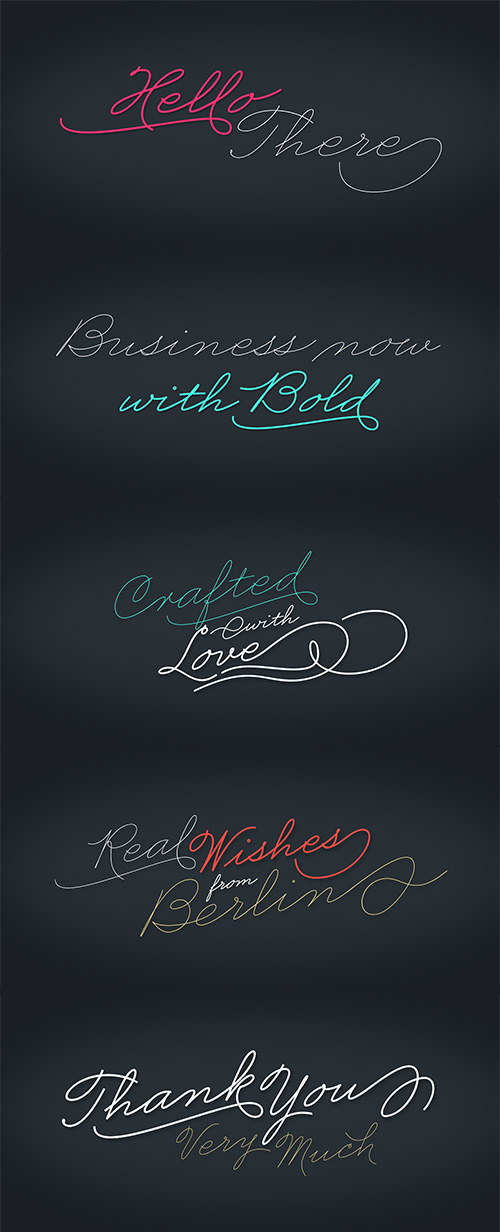 Business Penmanship Font Family 2xOTF Business Penmanship Font Family 2xOTF