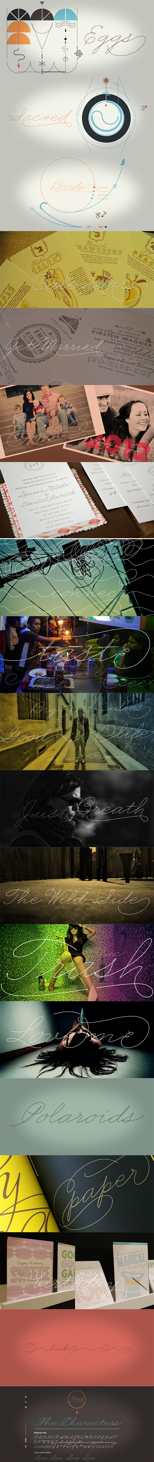 Business Penmanship Font Family 2xOTF