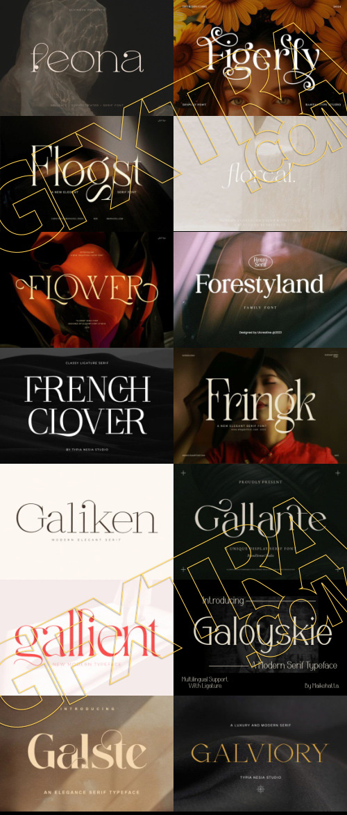 Elegant Modern Light Fonts Bundle 422 Typefaces