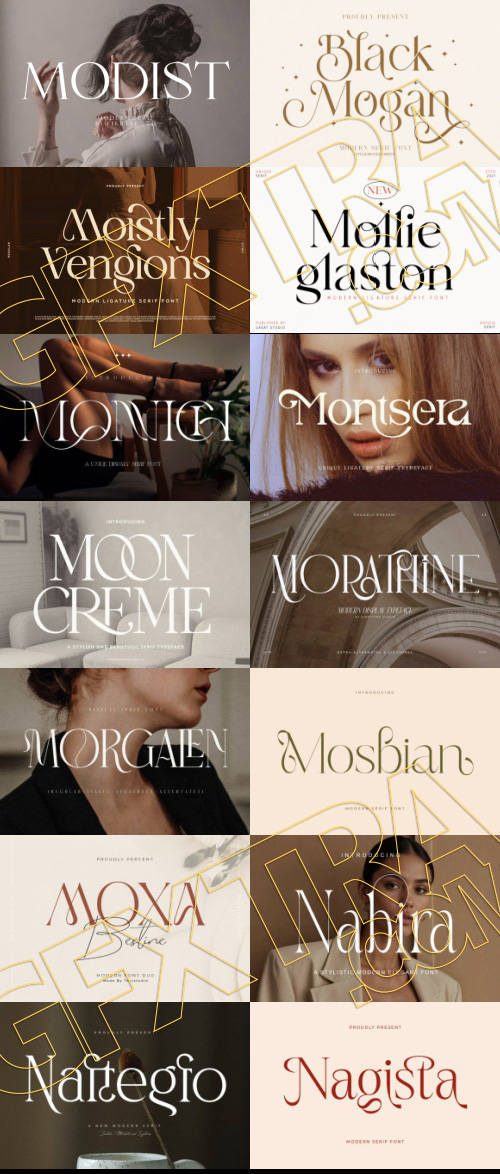 Elegant Modern Light Fonts Bundle 422 Typefaces