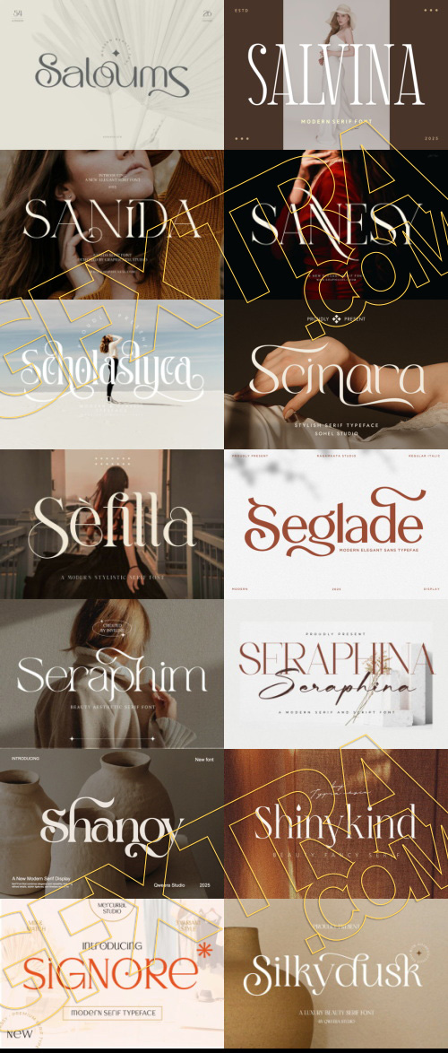 Elegant Modern Light Fonts Bundle 422 Typefaces