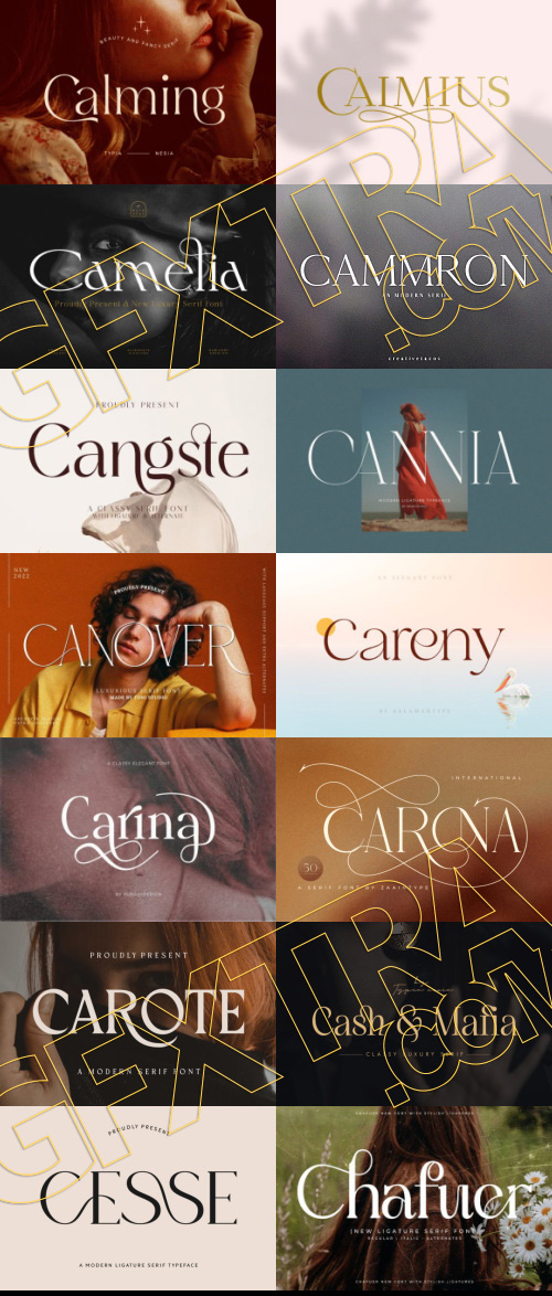 Elegant Modern Light Fonts Bundle 422 Typefaces