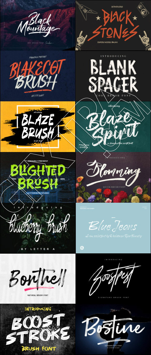 415 Premium Brush Rough Fonts Bundle 533xOTF