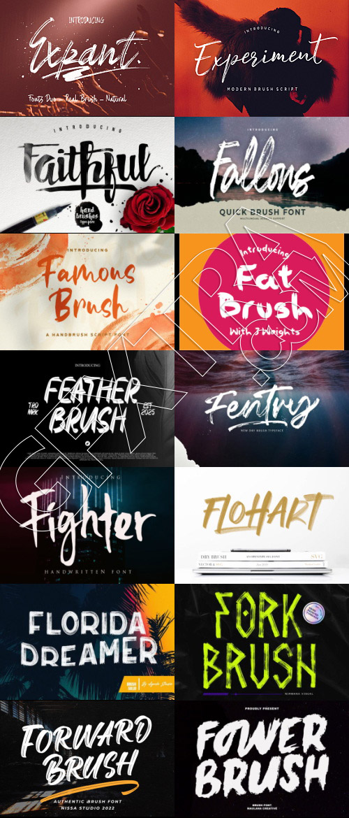 415 Premium Brush Rough Fonts Bundle 533xOTF