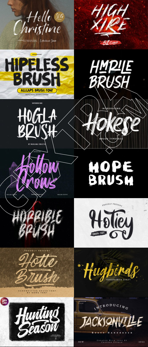415 Premium Brush Rough Fonts Bundle 533xOTF