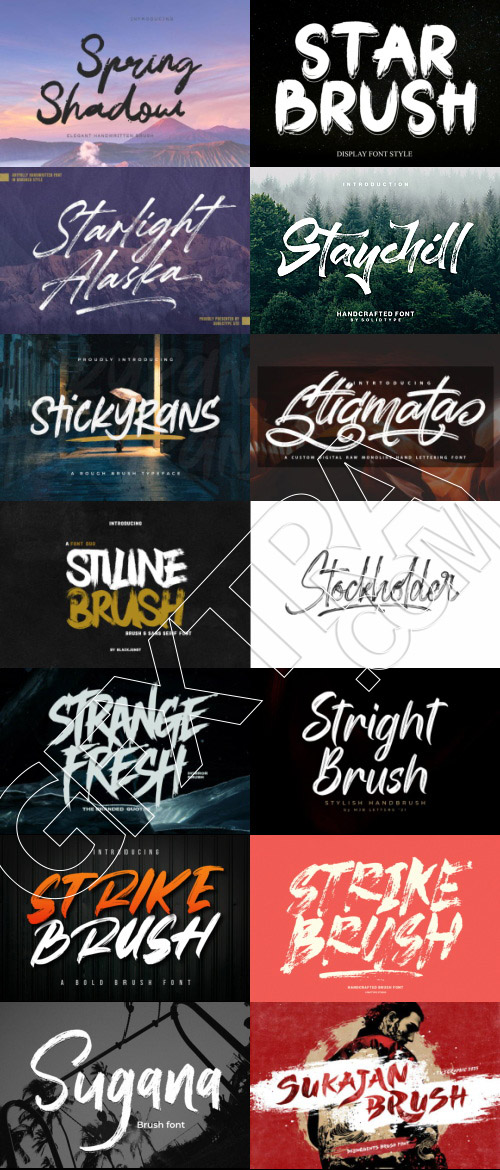 415 Premium Brush Rough Fonts Bundle 533xOTF
