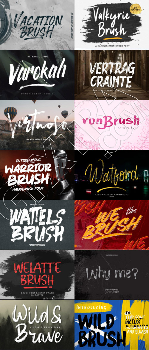 415 Premium Brush Rough Fonts Bundle 533xOTF