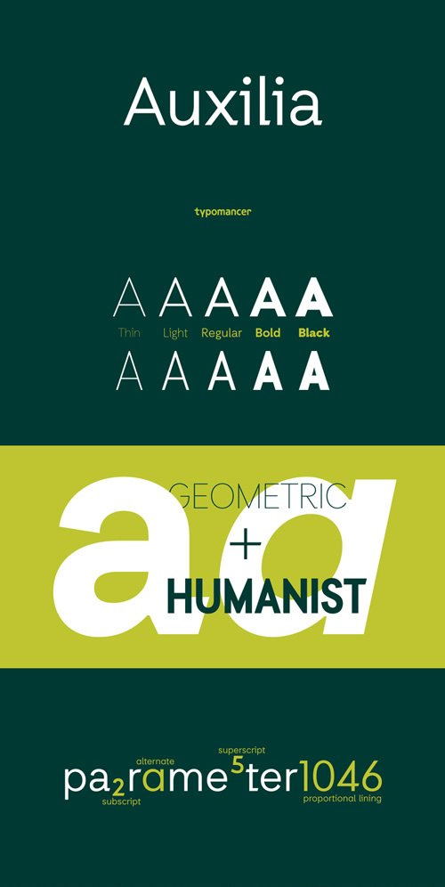 Auxilia Font Family 20xOTF