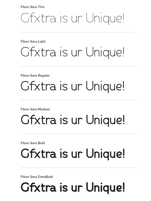 Fibon Sans Font Family 484630