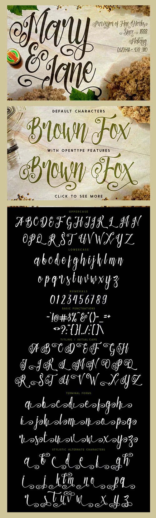 Patronia Script 144925