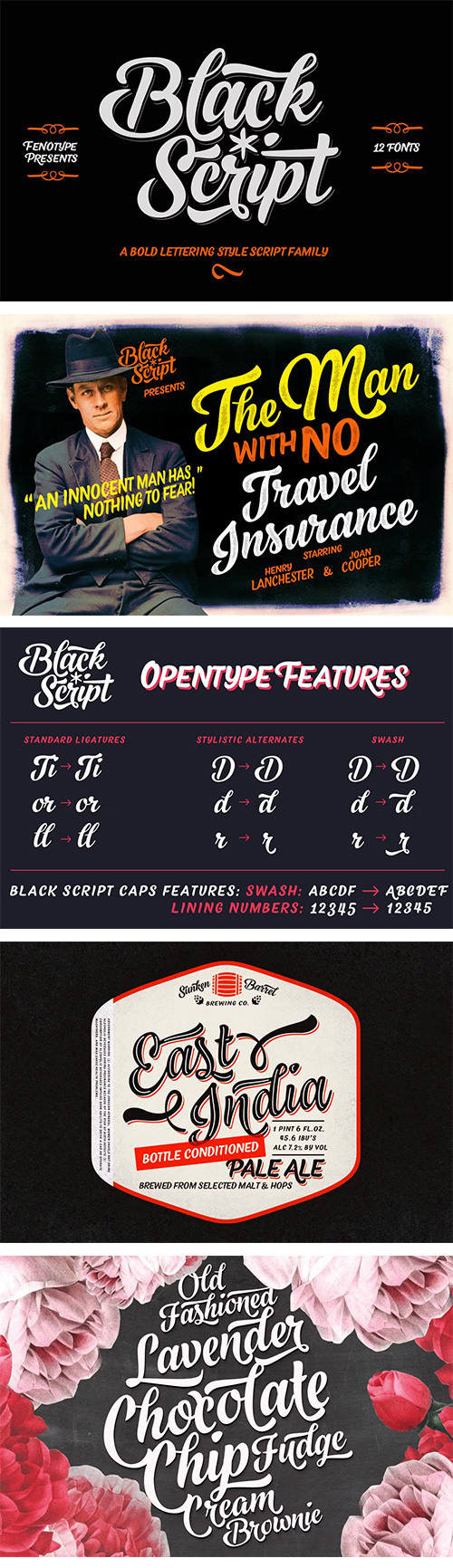 Black Script -12 fonts 1072547